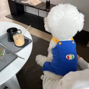 Dog Jumpsuit Summer Puppy Clothes 2025 Cute Pet Rompers Color Block Casual Dog Pants Bichon Pug Chihuahua Suspenders Dog Coat