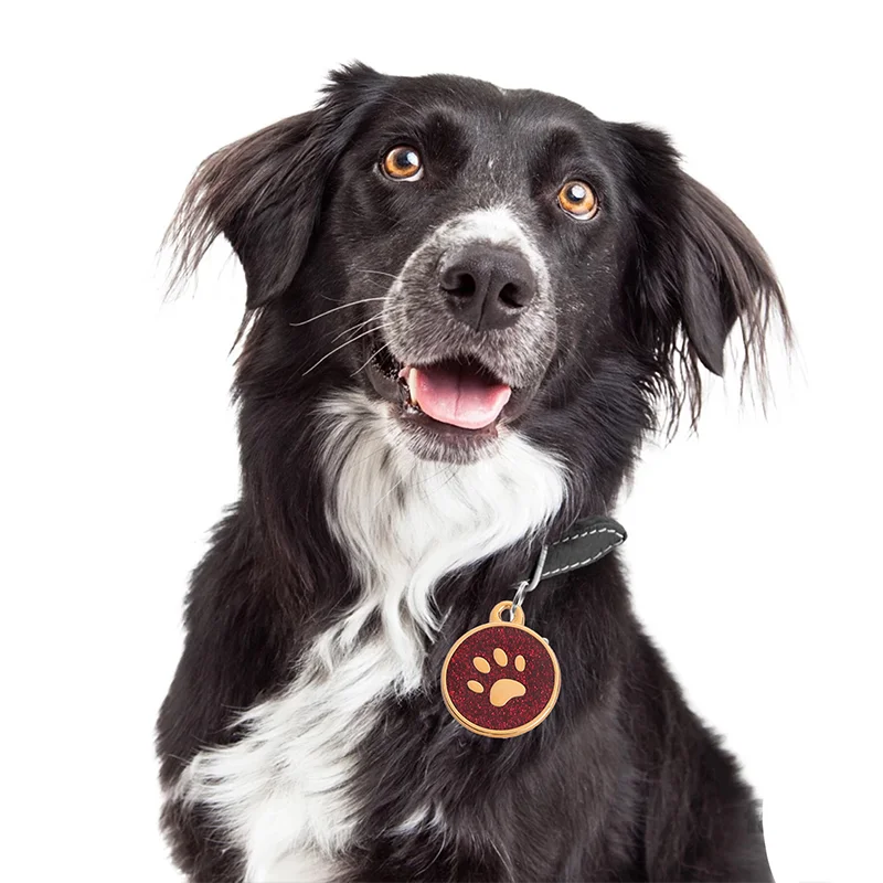 Personalized Dog Tag Free Engraving Pet Id Tags Customized Anti-Lost Dog Name Tag Puppy Collar Pendant Keychain Dog Accessories - Image 3