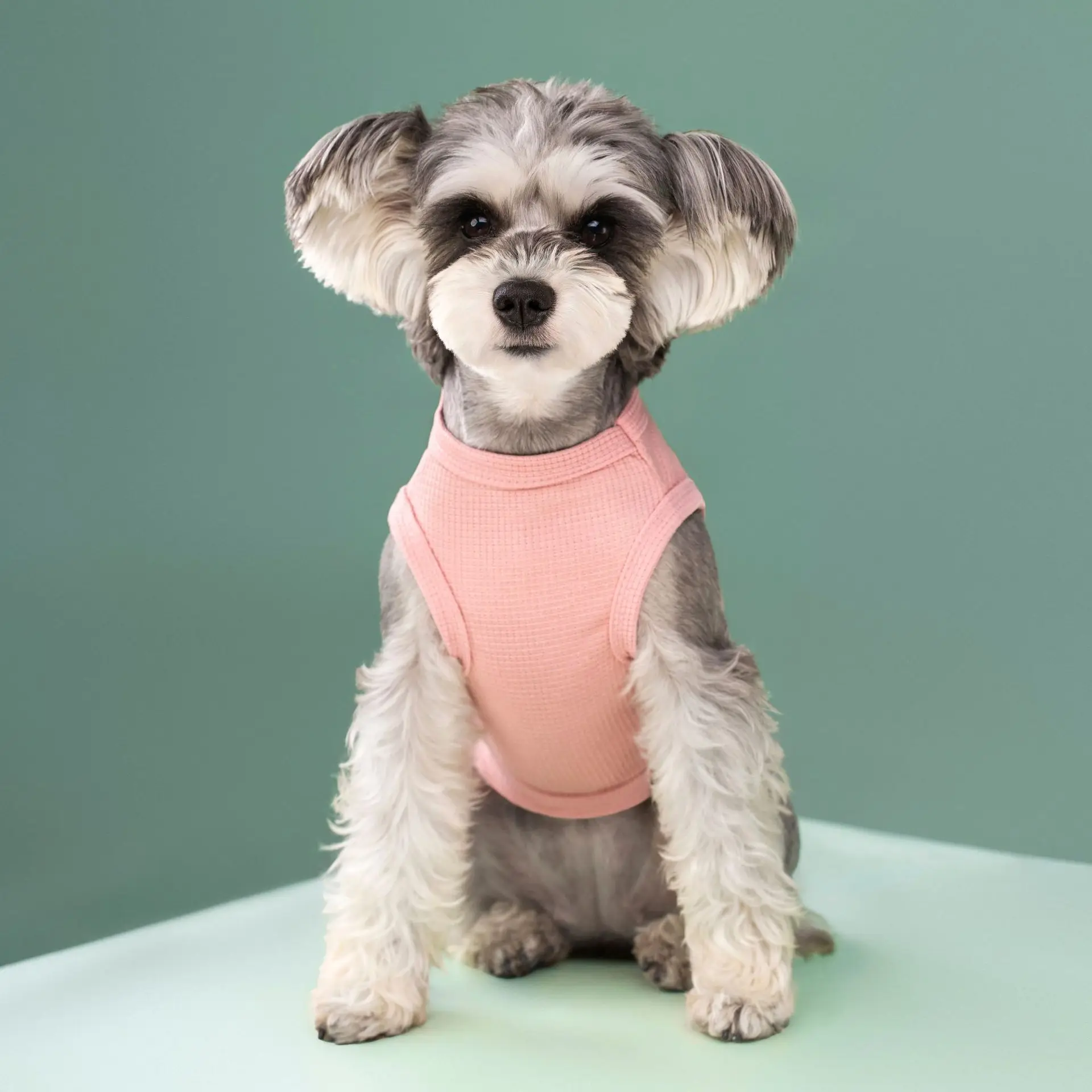 Dog Clothes for Small Dogs Summer Pet Dog Cooling Vest Puppy Clothing Solid T-Shirt Waffler Pet Apparel Chihuahua Dog Costume - Image 2