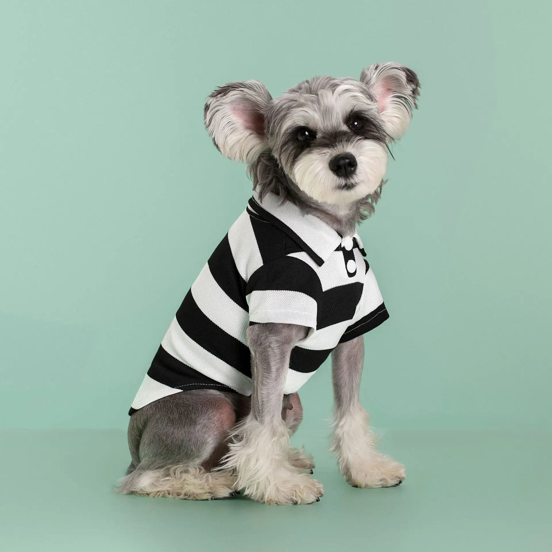 Summer Striped Pet Polo Shirt Dog Clothes for Small Dogs Cotton Puppy Vest Chihuahua Bichon Costume Cat T Shirt Dog Undershirt - Image 2